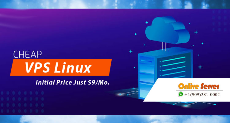 Linux Web Hosting – Various Servers to keep your site protected